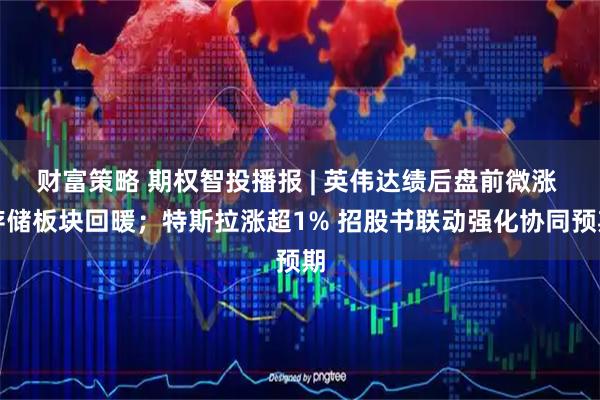 财富策略 期权智投播报 | 英伟达绩后盘前微涨 存储板块回暖；特斯拉涨超1% 招股书联动强化协同预期