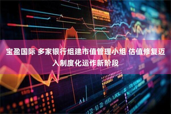宝盈国际 多家银行组建市值管理小组 估值修复迈入制度化运作新阶段